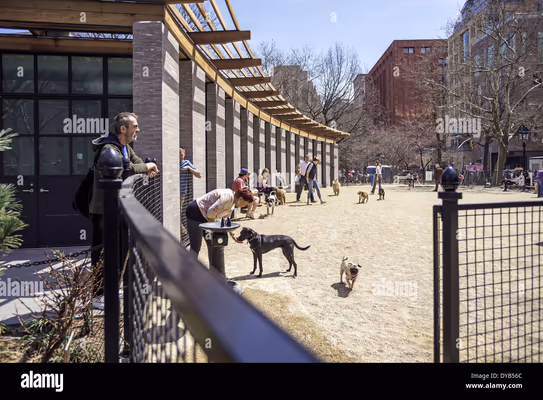 Dog Run at Washington Square Park